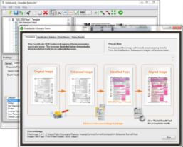 Process Forms window