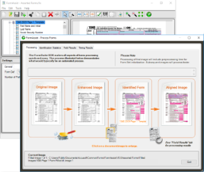 Process Forms window